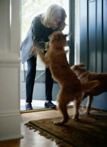 Dogs greeting owner at the door