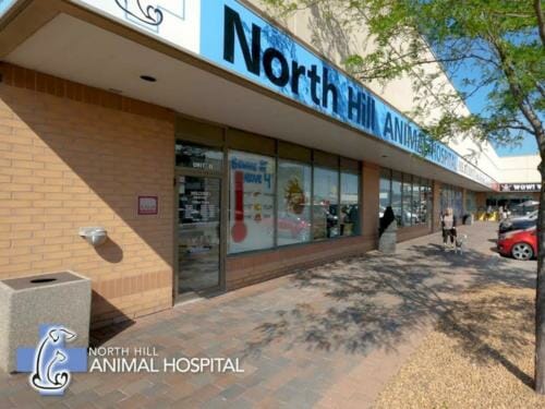 Careers - North Hill Animal Hospital